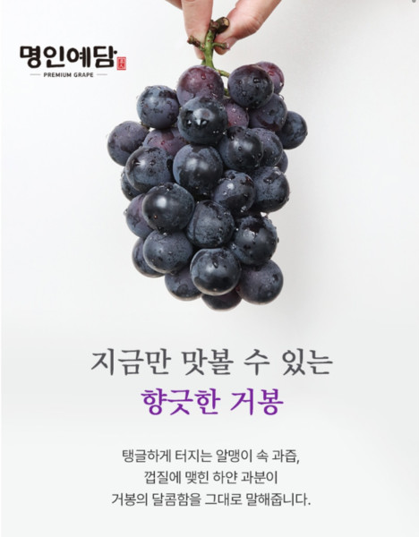 [F0112]명인예담 프리미엄 거봉 예호 면세   - 구성 : 거봉 4~6송이 (4kg 내외) ± 150g(오차범위)           박스사이즈  45.5*37 | 쿠독 | 쇼핑 파트너 종합쇼핑몰과 도매플랫폼의 만남 COODOK