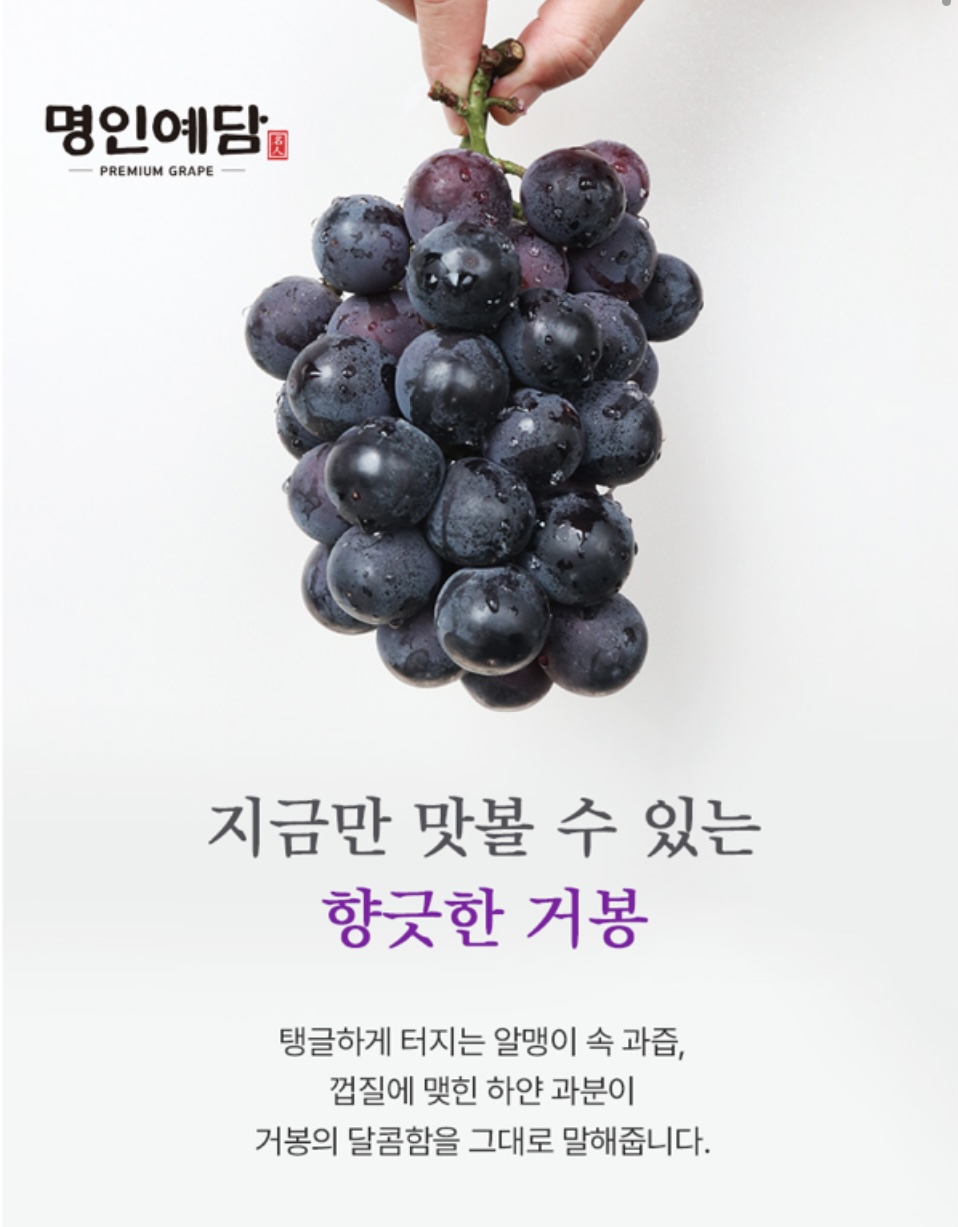 [F0112]명인예담 프리미엄 거봉 예호 면세   - 구성 : 거봉 4~6송이 (4kg 내외) ± 150g(오차범위)           박스사이즈  45.5*37 | 쿠독 | 쇼핑 파트너 종합쇼핑몰과 도매플랫폼의 만남 COODOK
