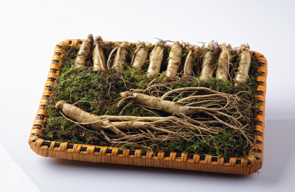 명인예담 [고급포장]금산수삼 VVIP5호선물세트[수삼550g(10-13편내)]면세 | 쿠독 | 쇼핑 파트너 종합쇼핑몰과 도매플랫폼의 만남 COODOK